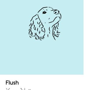 Flush by Virginia Woolf